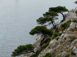 Les trois "bousqueterre"