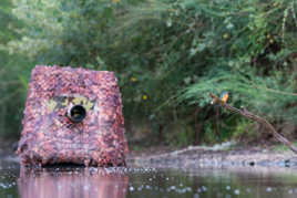 Making-of de mes photos de Martins