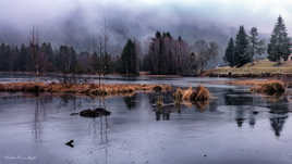 le lac de Lispach à l'aurore