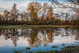 débordement de la Sorgue