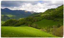 Cantal