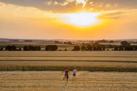 Enfants dans les blés