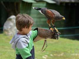 L'enfant et l'oiseau