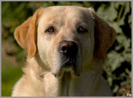 Portait à poil.... au coucher de soleil