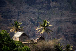 Petit carré de verdure sur l'île de Santo Antao au Cap Vert