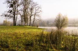 La brume se lève sur l'étang