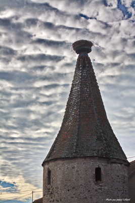 Des moutons dans le ciel