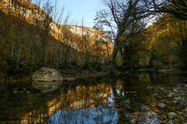 Reflet d automne