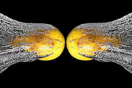 citron et reflet ou reflet et citron