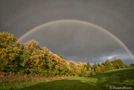 "Couleurs automnales" !