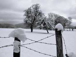 Froid encore plus piquant