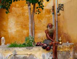 Sage au Rajasthan