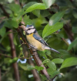 Retour de chasse (2)