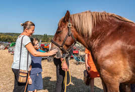 Réconfort après effort