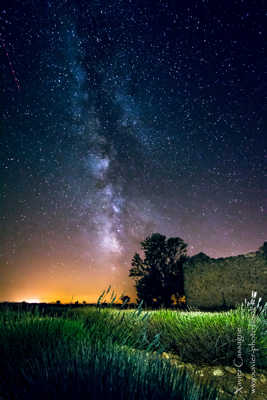 La voie lactée sur les lavandes de Valensole