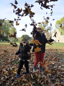 Sous la pluie des feuilles...