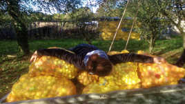 tomber dans les pommes !!!