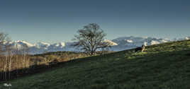 Pyrénées enneigées