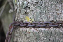 force de l'homme contre la nature