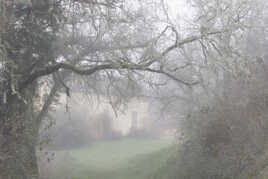 Brouillard de novembre