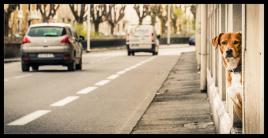 Il comptait les voitures ...