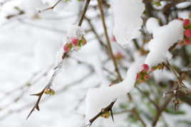 patience et longueur de temps ...