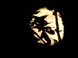 PETIT LUTIN SUR LA LUNE