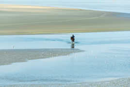 Sécurité-sécurité-sécurité