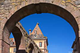 Les cigognes sont de retour