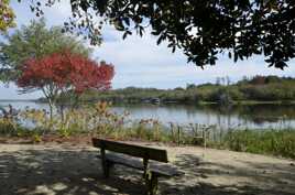 Bon pour la méditation.