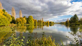 Fin d'après-midi sur l'étang