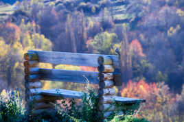 Le banc et l'oiseau en Automne