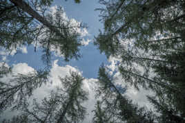 Les faîtes au Parpaillon (04)