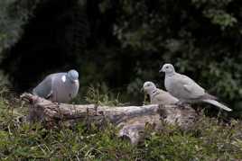 Heu....Madelaine, je crois qu'on c'est planté à la maternité