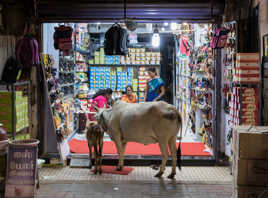 Et vous trouvez sabot?