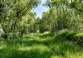 Le Chemin Vert