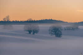 Ambiance hivernale