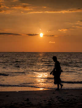 Ramasseur de coquillages