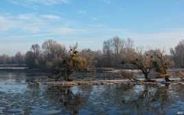 La Loire charrie des glaçons