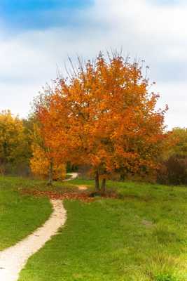 L'automne est bien là!!!