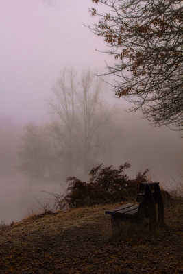 Banc dans la brume