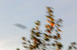 essai flou créatif 4