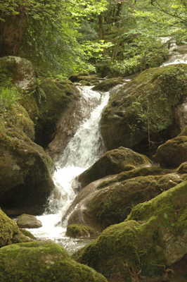 petite cascade