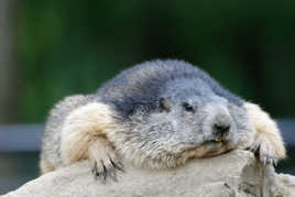 Fatiguée, quelle journée