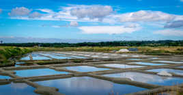 Marais salant beau ciel bleu