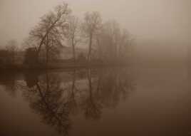 Reflets par temps de brouillard