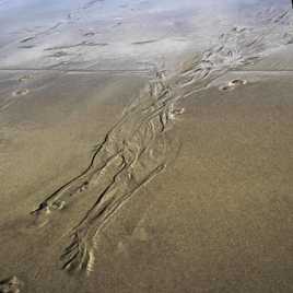 fantome sur le sable