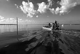 OSTREICUTEURS DU BASSIN D'ARCACHON...