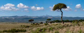 Le Mont Kenya
