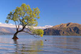 Wanaka, New Zealand